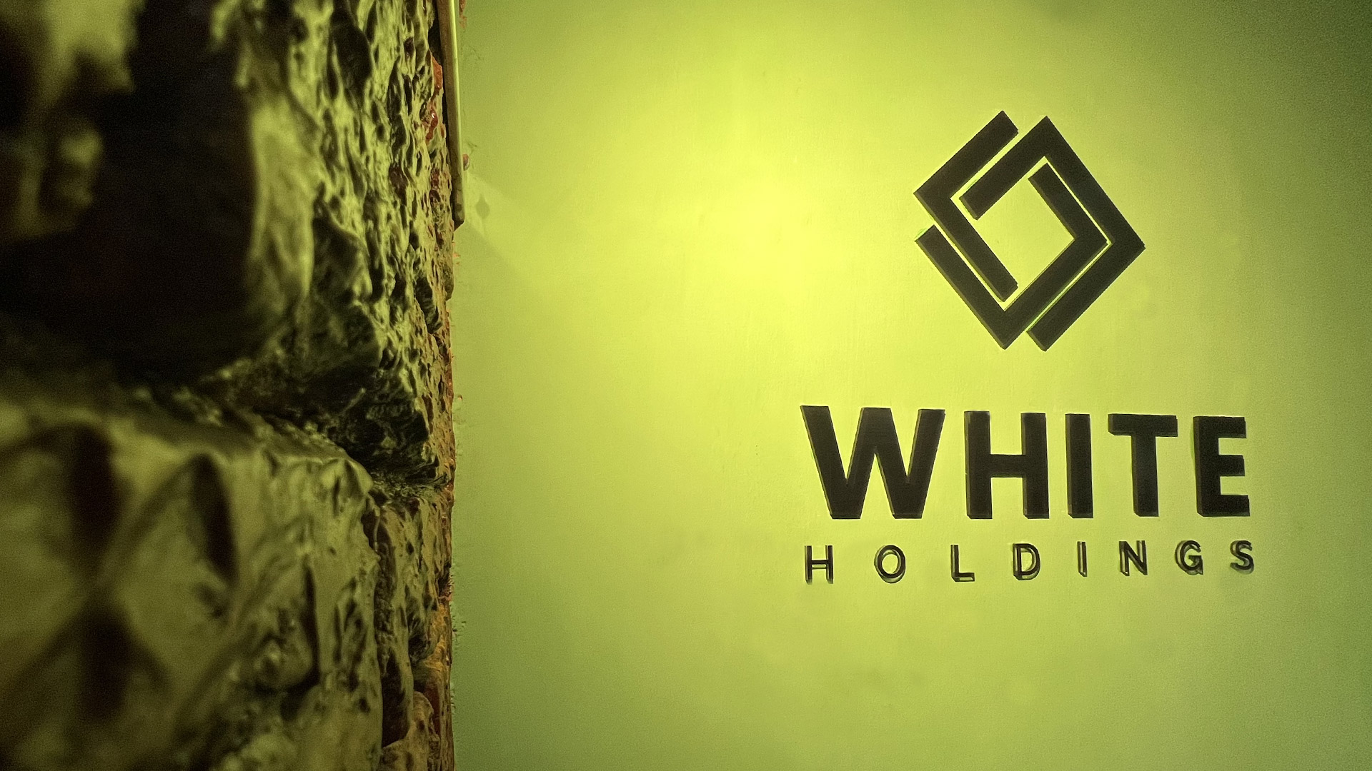 WHY WHITE HOLDINGS LIMITED ?